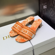 Christian Dior Slippers